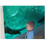 Ezra & otters.jpg
